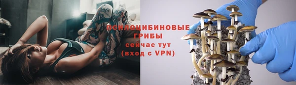 метадон Алзамай