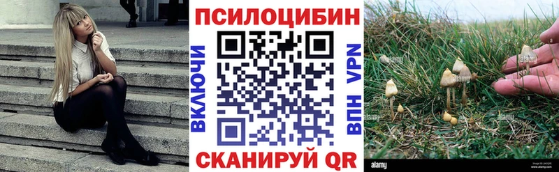 наркошоп  Орлов  omg зеркало  Псилоцибиновые грибы мицелий 
