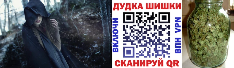 где найти наркотики  Орлов  Шишки марихуана планчик 